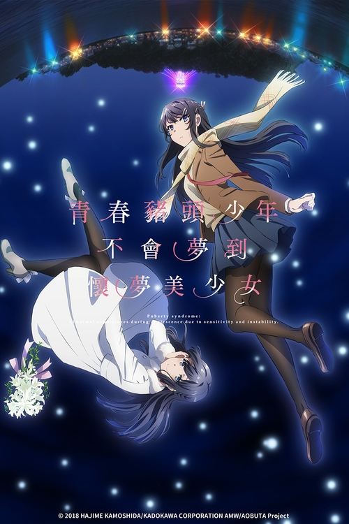 青春猪头少年不会梦到怀梦美少女